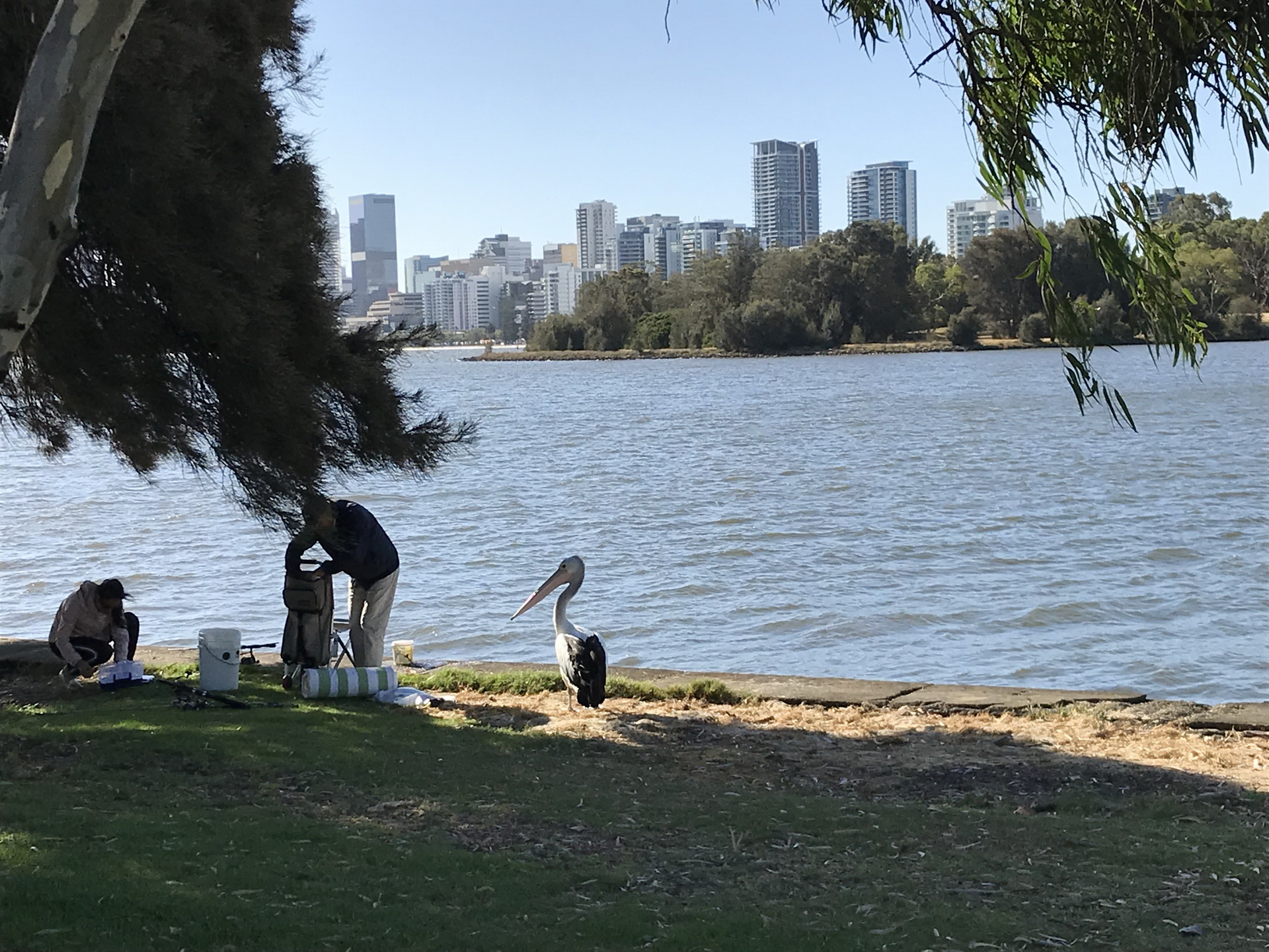 �������- ����������. ����. ��c������ 